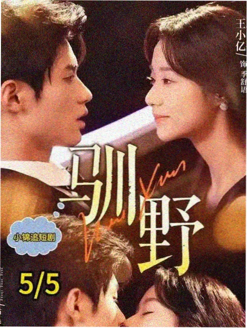 剧集两个夜班剧照封面